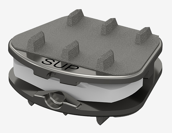 Synergy Disc Cervical Artificial Disc Replacement